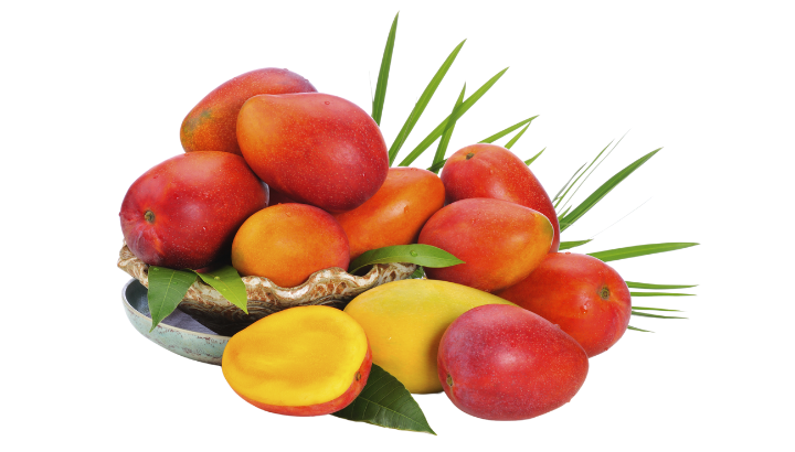 Mango Irwin